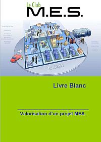 Livre Blanc - Valorisation d'un projet M.E.S