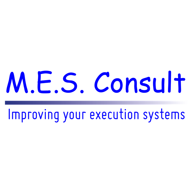 M.E.S Consult