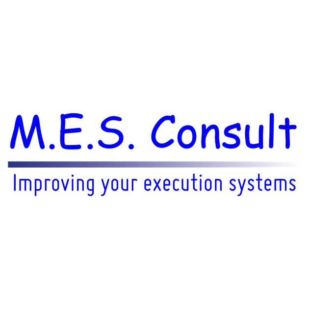 Logo MES CONSULT