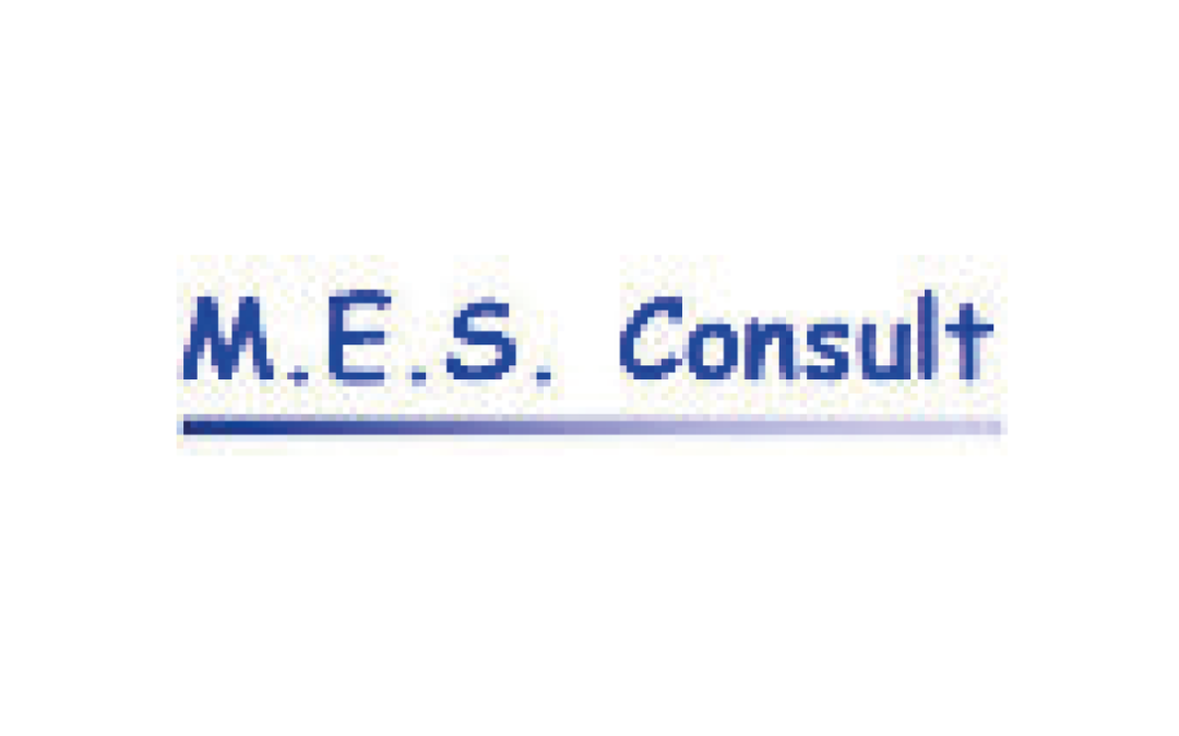 M.E.S Consult