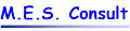 mes-consult Logo - M.E.S Consult